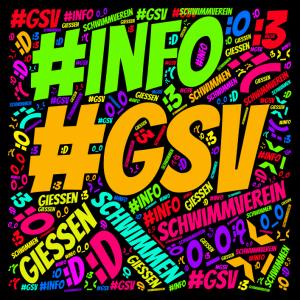 gsv info 1